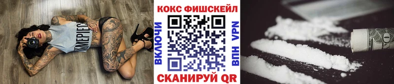 где продают наркотики  Каменногорск  Кокаин FishScale 