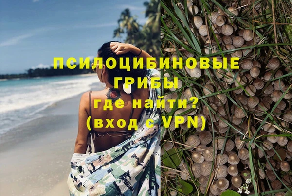 СК Пролетарск