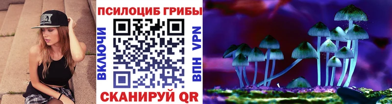 Галлюциногенные грибы ЛСД  KRAKEN маркетплейс  Каменногорск 